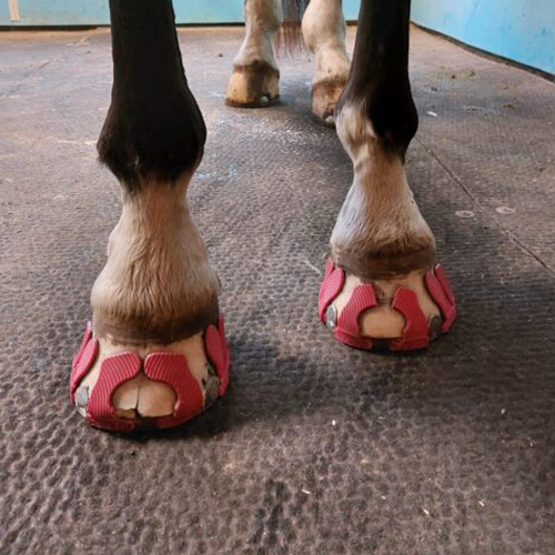 IMG-20220915-WA0034-1-600x800