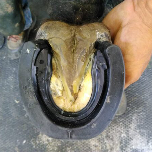 IMG_20180512_161653-scaled-600x450