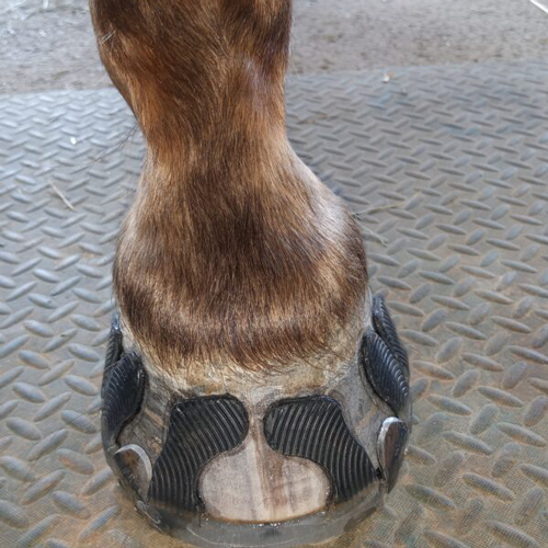 IMG_20210717_152612_0-600x746