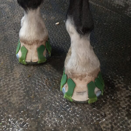 IMG_20221020_103713_0-600x800